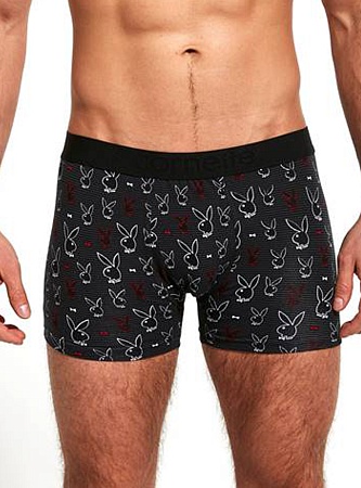 Трусы мужские Шорты 508/113 High emotion